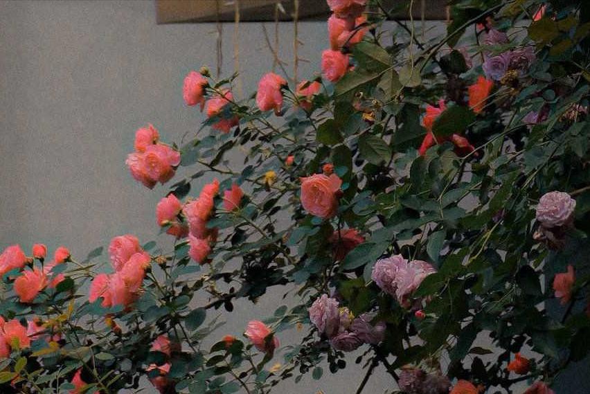 发生在焦作的真实故事,焦作的好故事