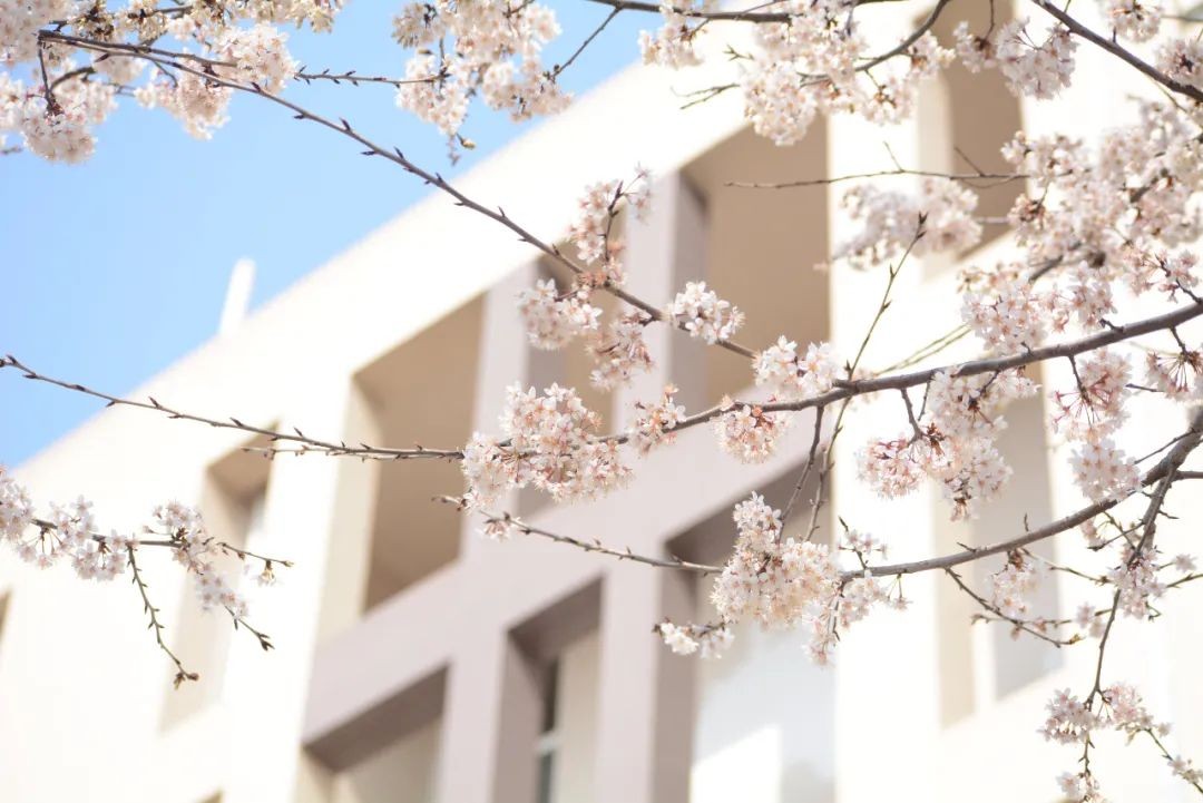 美美美，在阳光灿烂的成电遇见你~