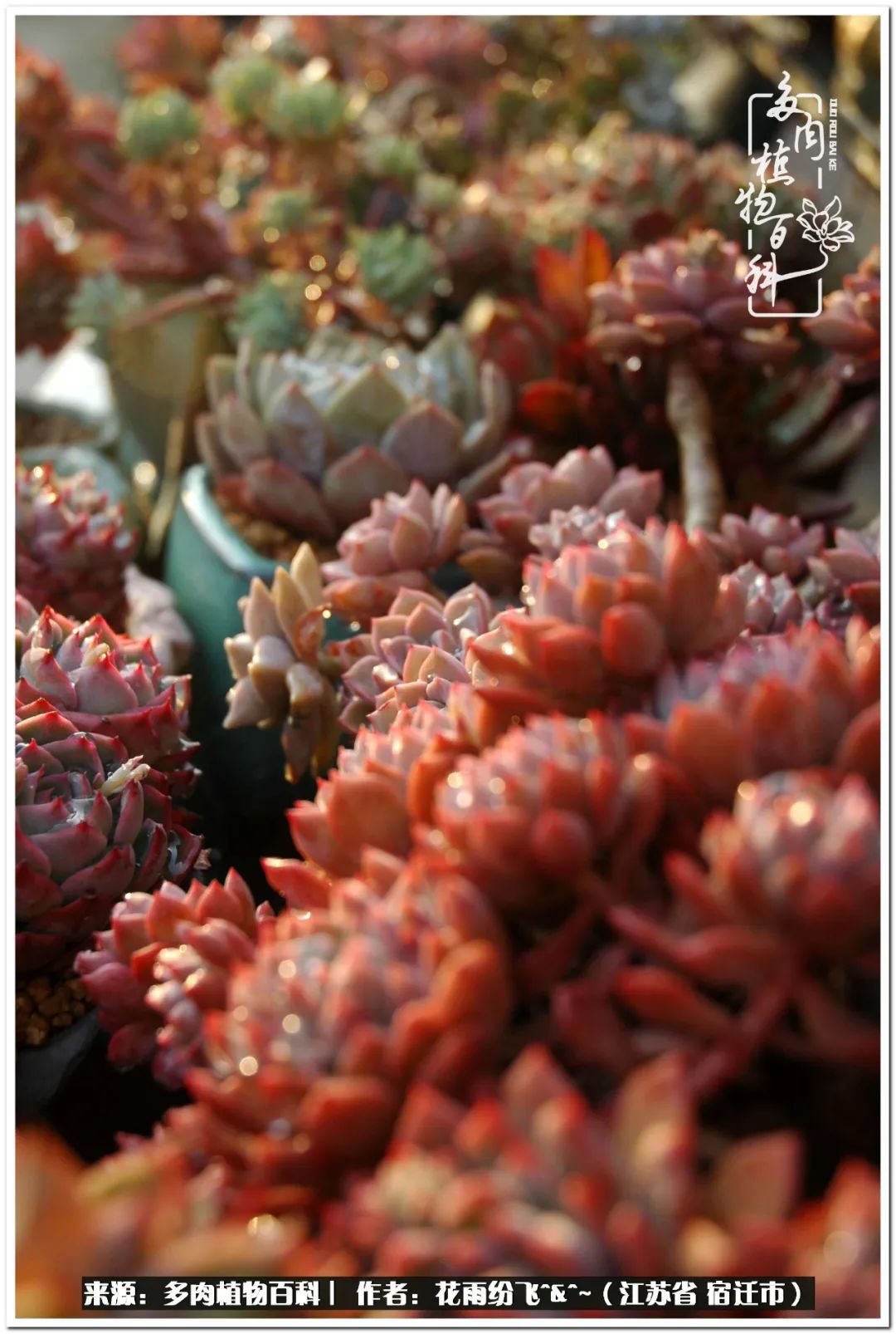 回味童年无忧无虑的快乐时光,童年最快乐的时光