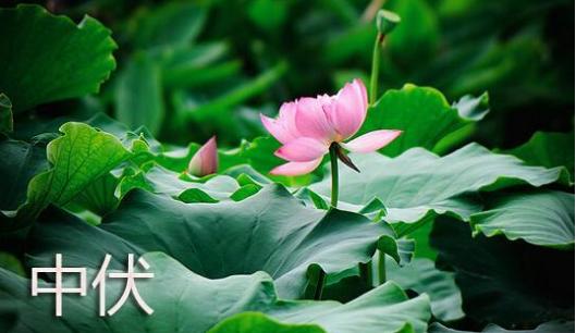 天气闷热你要记得多喝水防中暑,天气热了三步解暑方法