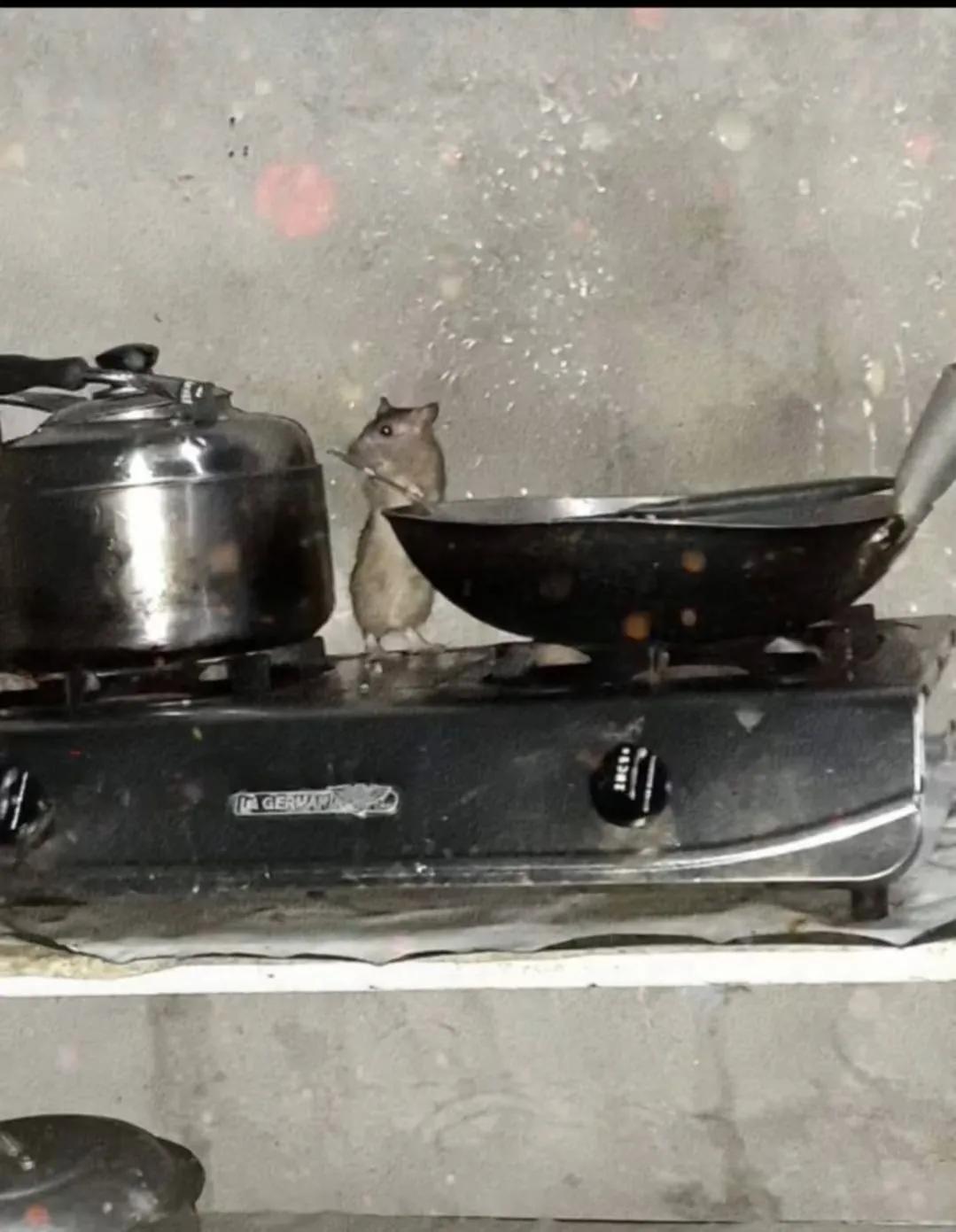 夏天到了购买什么样的蚊帐好,夏天来了你们用哪个蚊帐