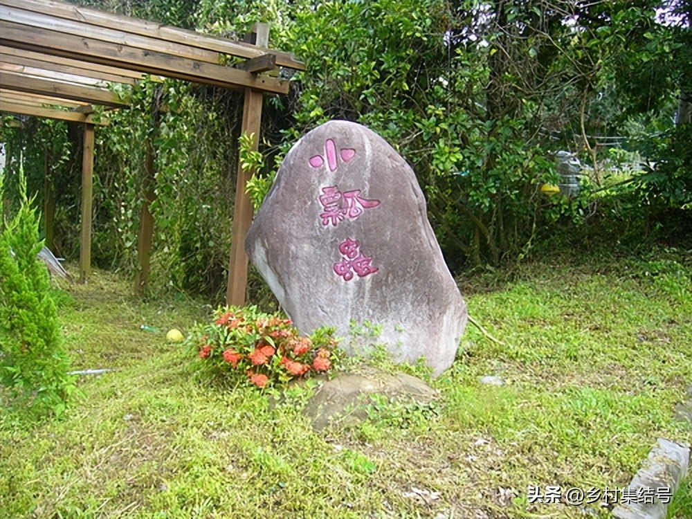 台湾小瓢虫农场,台湾小瓢虫