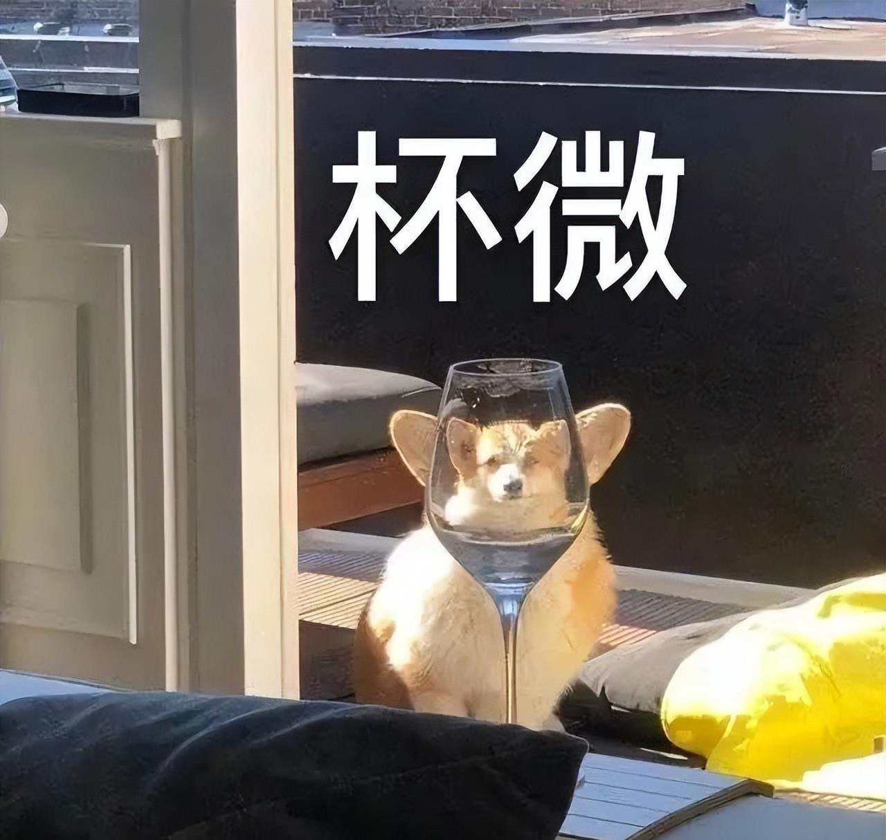 轻松塑造魅力四溢的吸睛全身照,全身照脸特别大