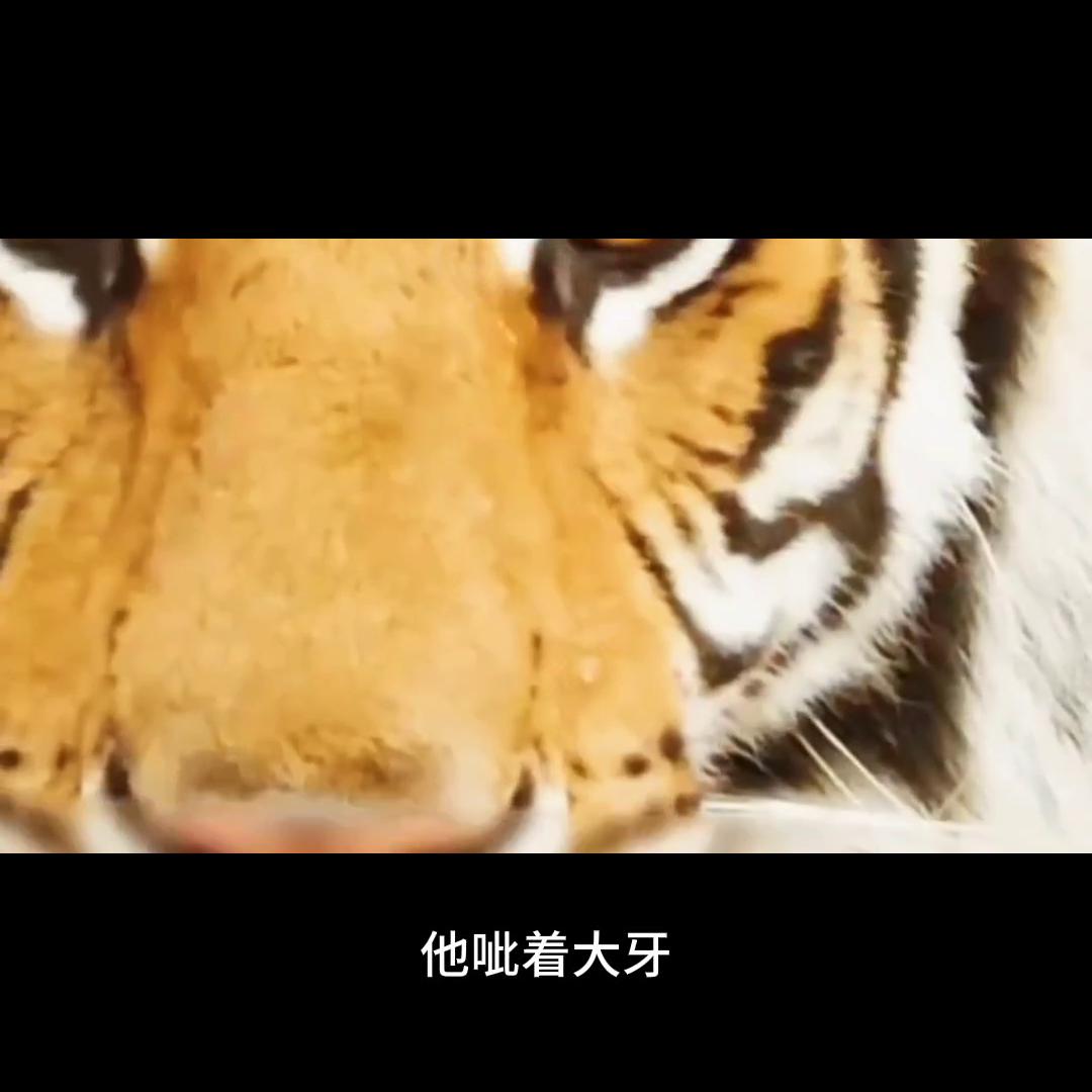 印度勇者无敌最猛动作电影,西瓜影音印度电影勇者无敌