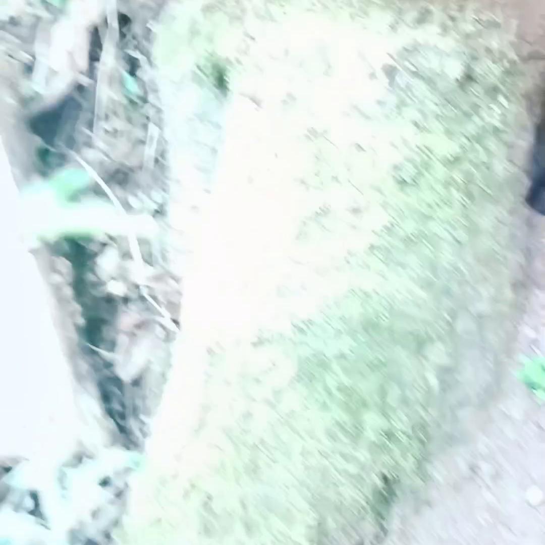 中蜂户外诱蜂,活蜂诱蜂的正确方法