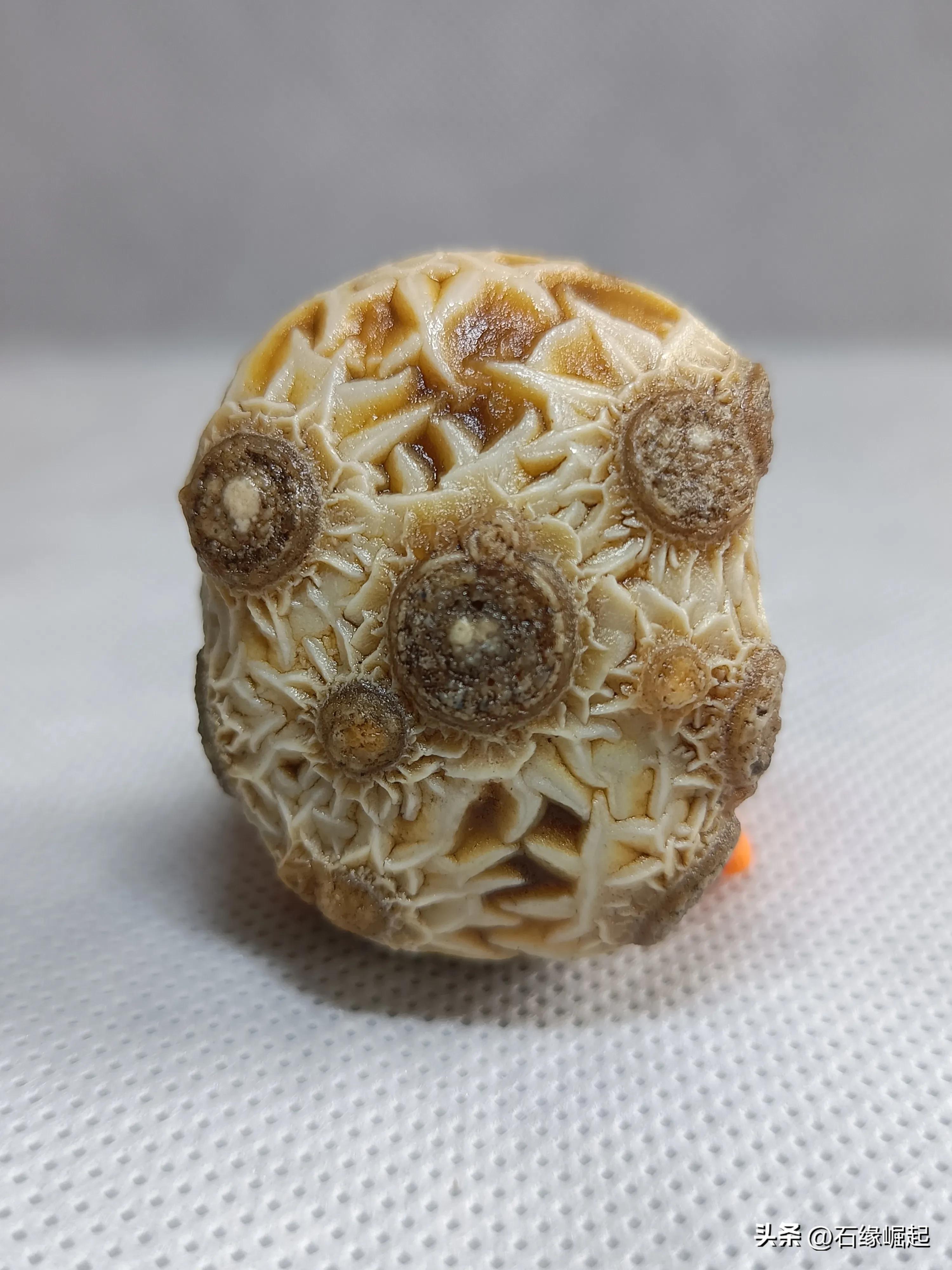 龟背玛瑙玉髓,一块红黑管状玛瑙原石