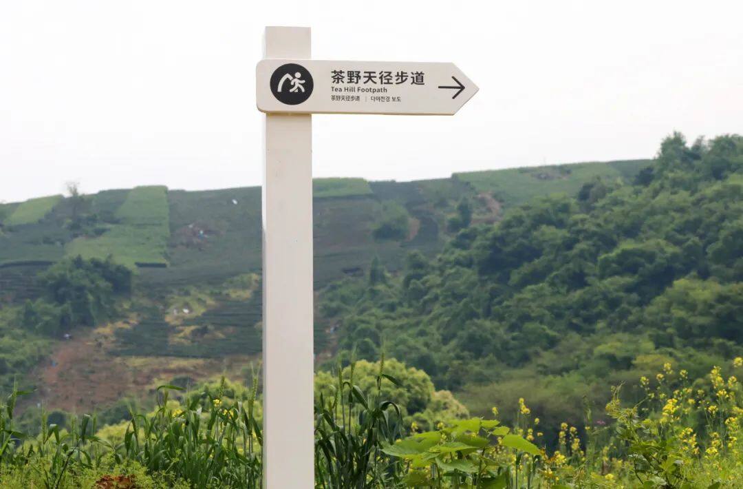 离杭州比较近的浙江城市,离杭州很近的市区