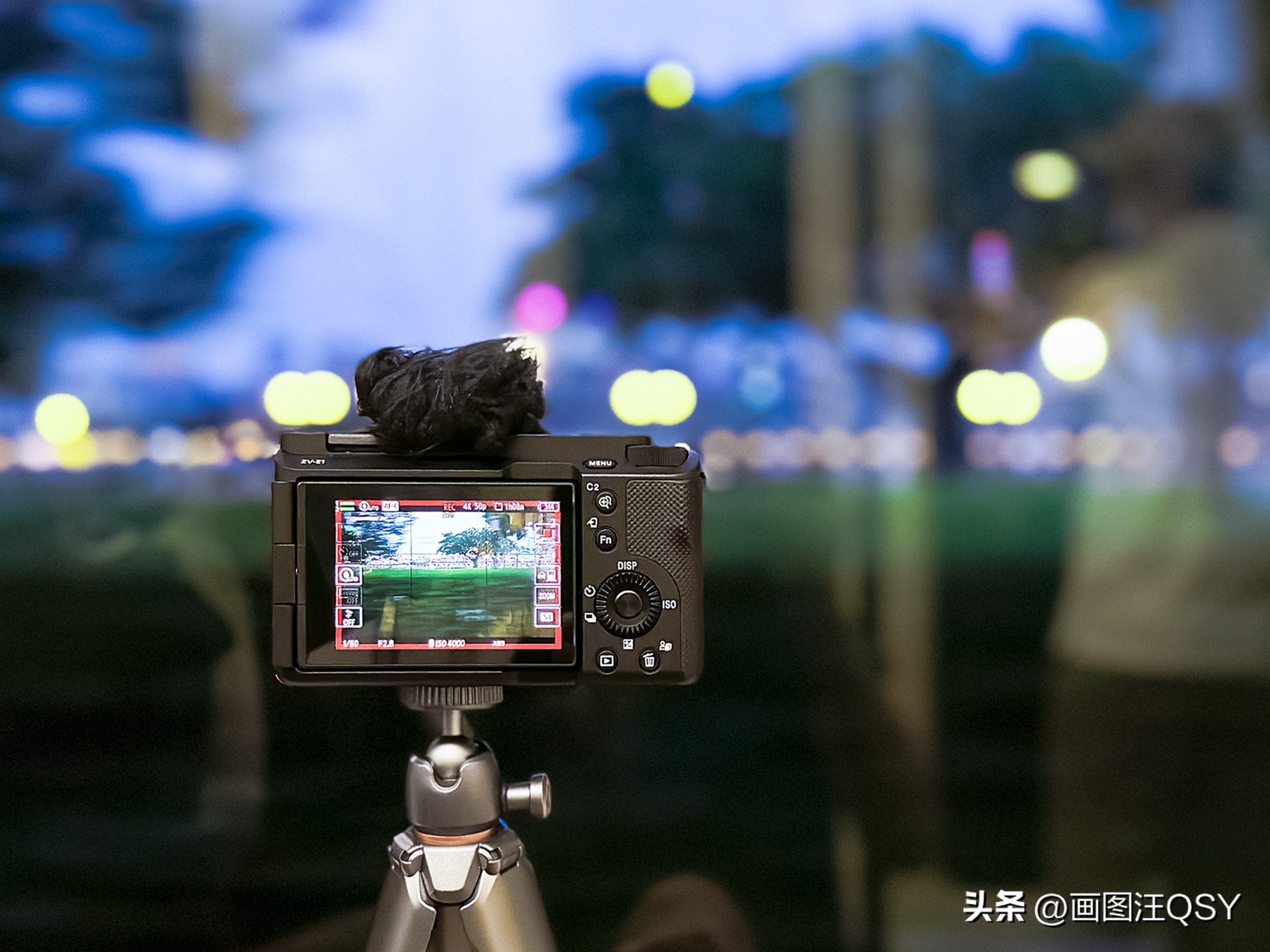 技术不够装备来凑，索尼ZV-E1真定位新手？Vlog初学者心得分享