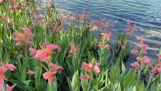 成都龙泉山水旅游攻略图,成都龙泉湖一日游最新详细攻略