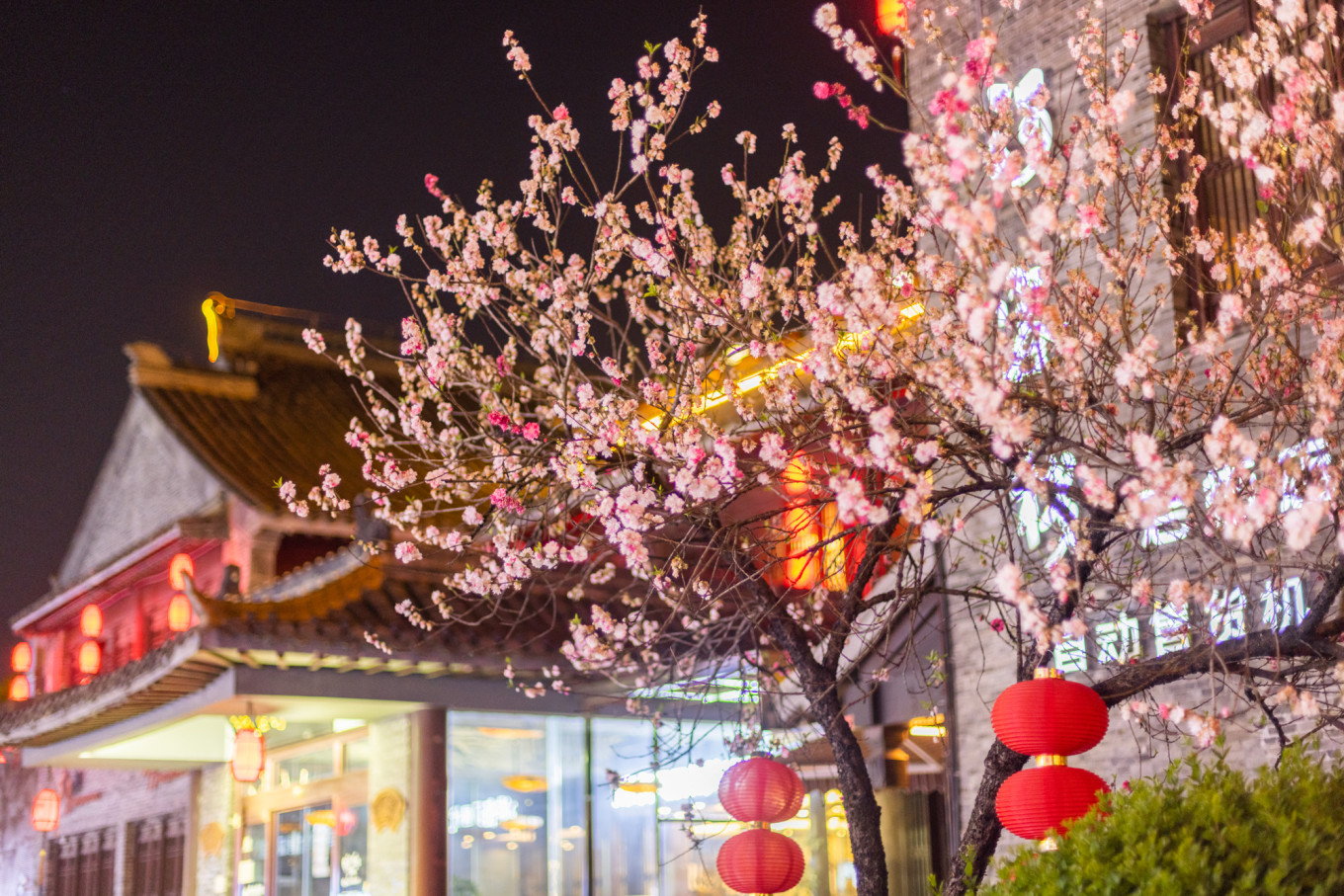 春日下江南杭州,泰州一日游攻略美食