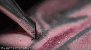 洗纹身最好的方法不留疤不留痕迹,洗纹身最好的方法不留疤不留印