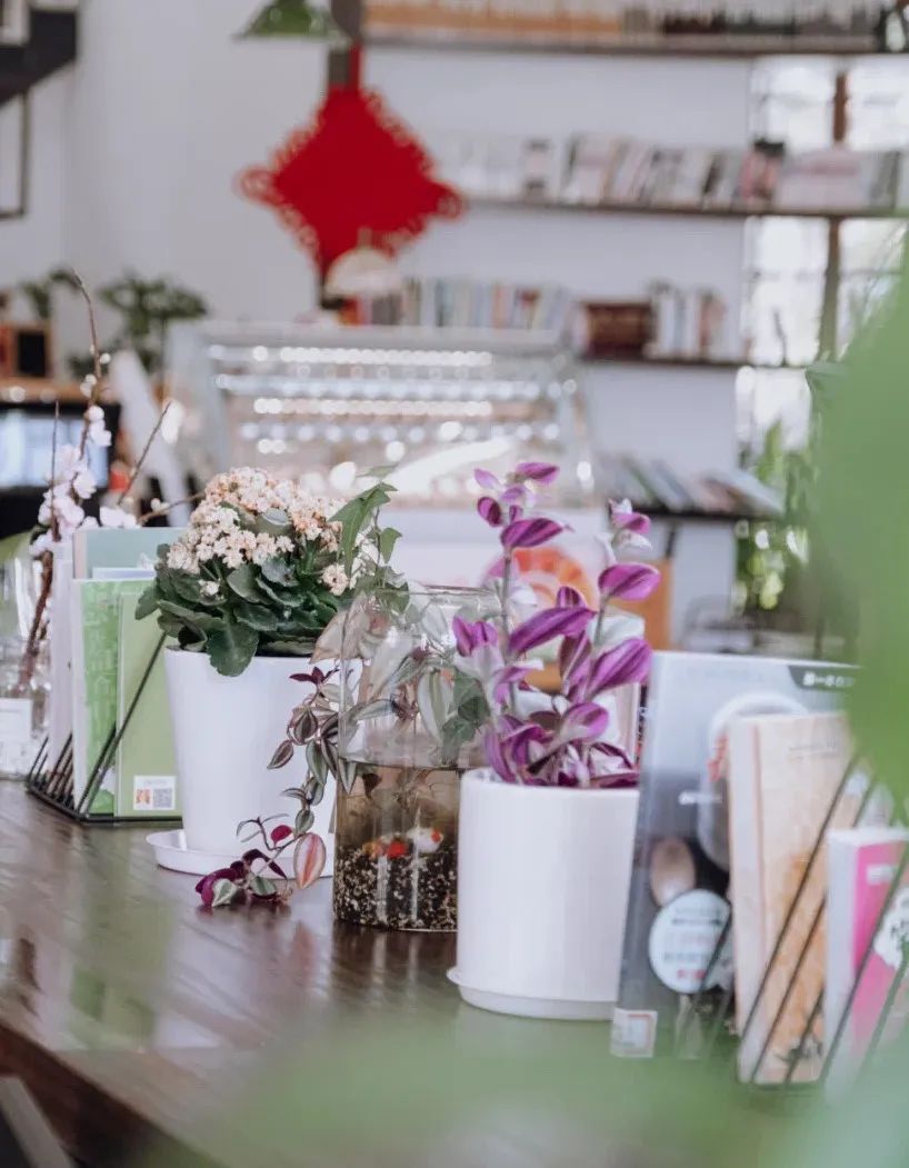 象山影视城民国时期拍摄,宁波象山海影城直播回放