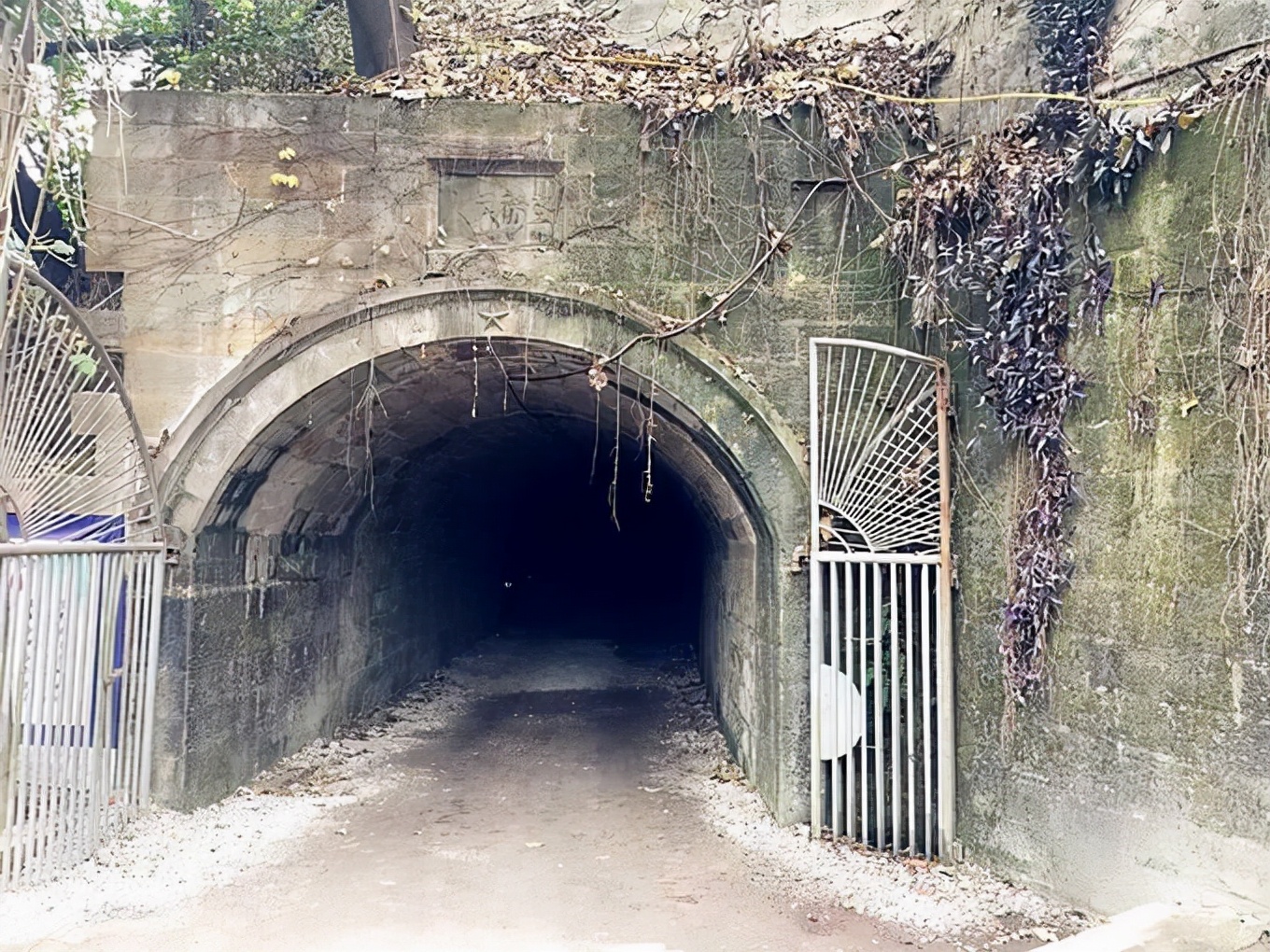 战争一旦爆发老百姓应该带什么,战争打响老百姓如何保命