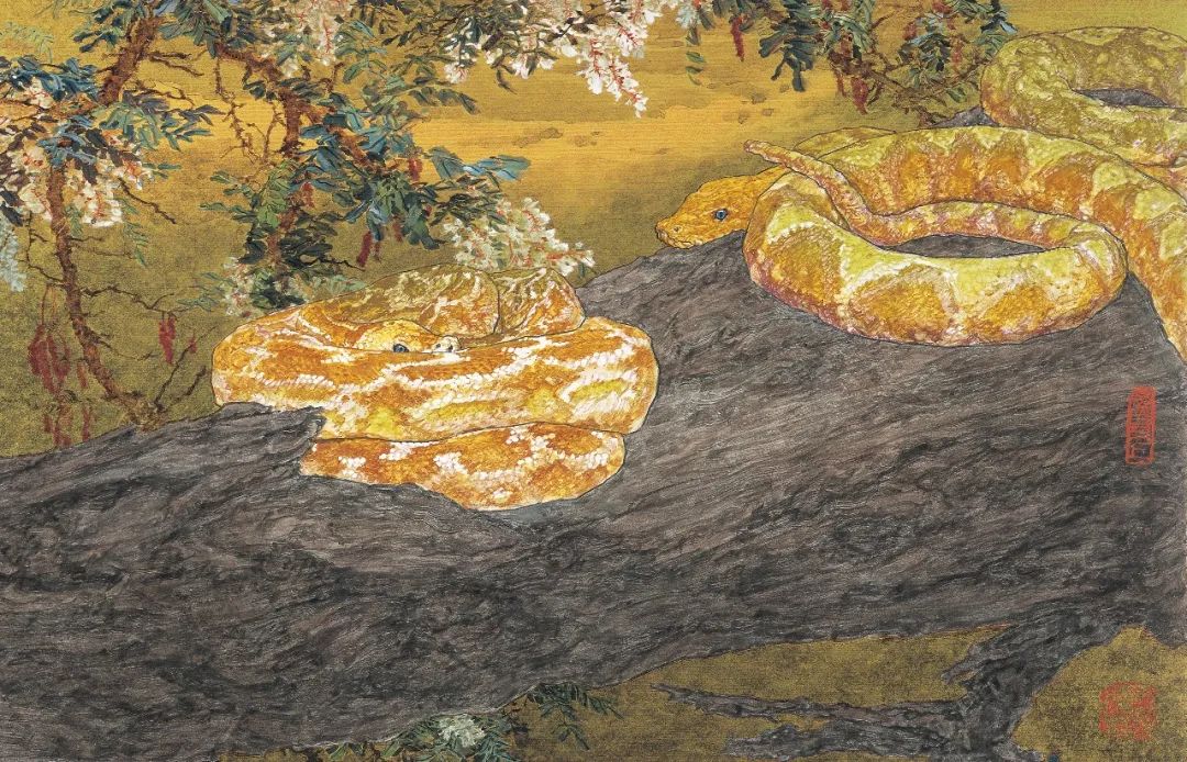 时代审美演变,时代审美和个人审美