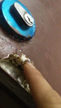 生物老师是女的,生物老师是个女的