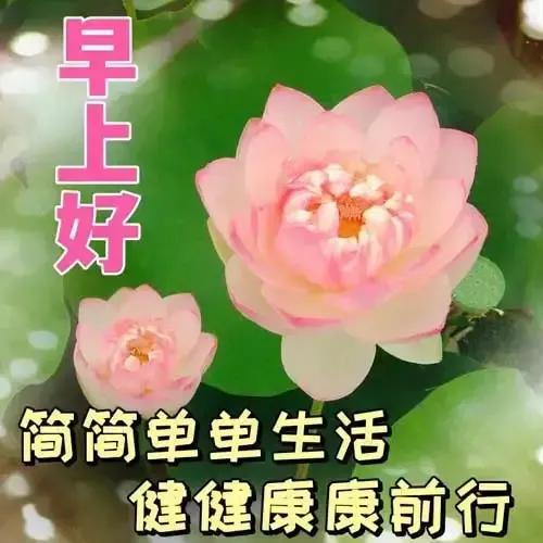 2023年02月27日星期一农历:癸卯年【兔年】二月初八八九第5天