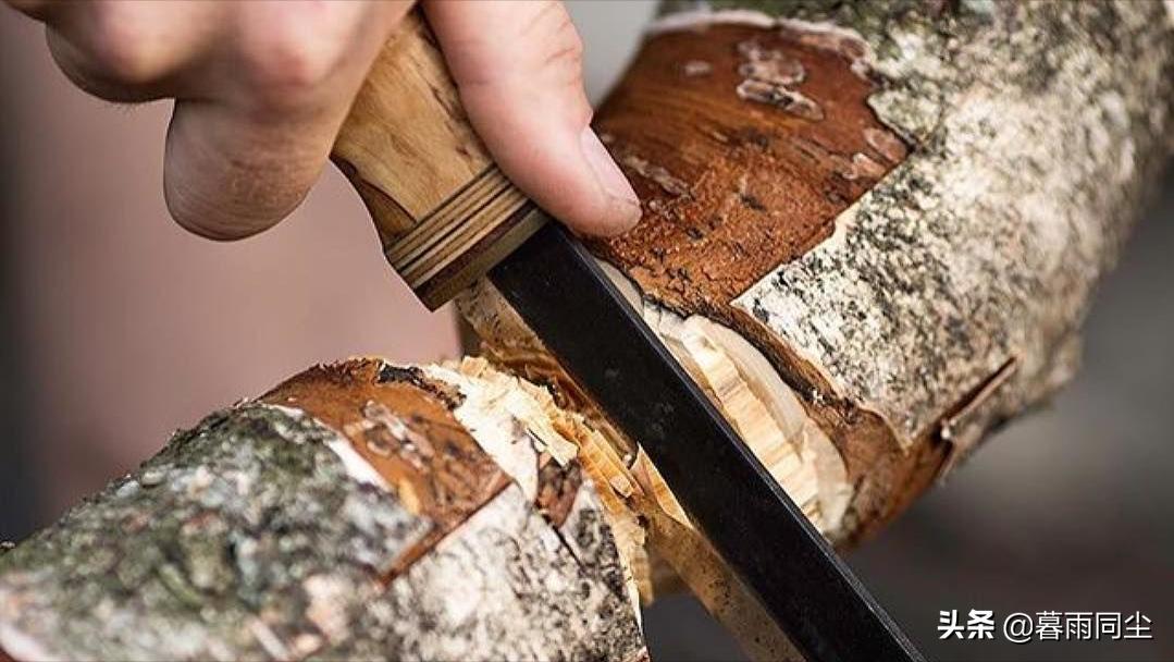 野外求生背包应该装什么,野外生存背包里的装备