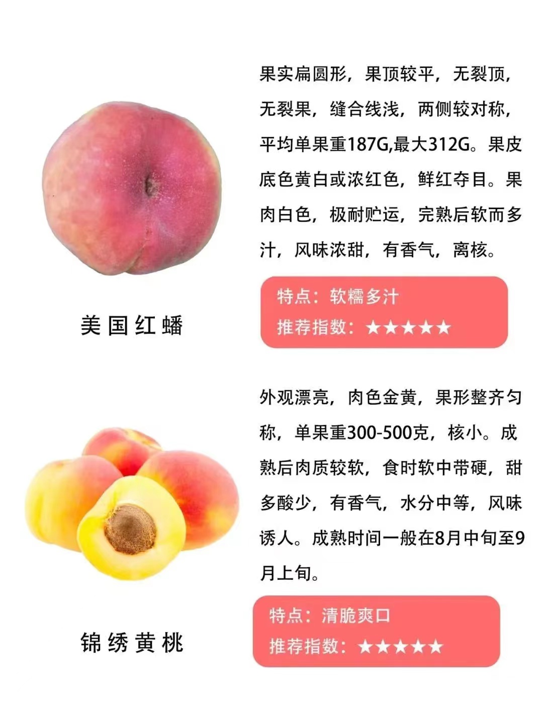 桃子品种大全及介绍,常见桃类的种类及特点