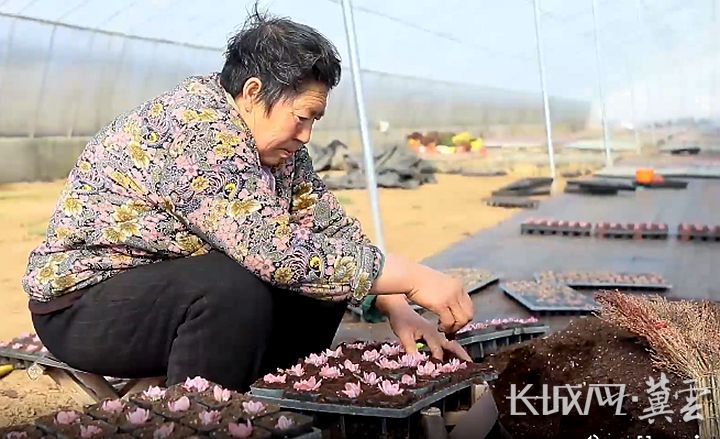 新农人大学生乡村创业,新农人2023乡村振兴返乡创业