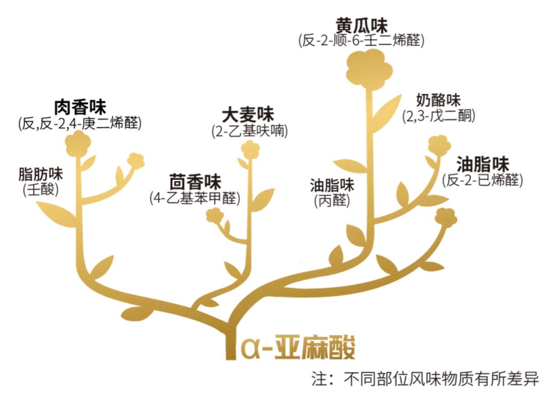 “二师兄”的升级打怪之路，高品质猪肉大揭秘