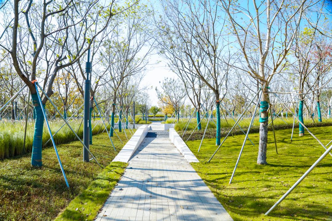 东莞滨海湾文体中心,东莞文体公园规划