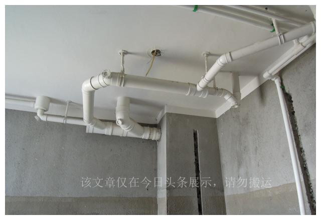 卫生间里的小飞虫如何消灭,卫生间里小飞虫怎么消灭小窍门