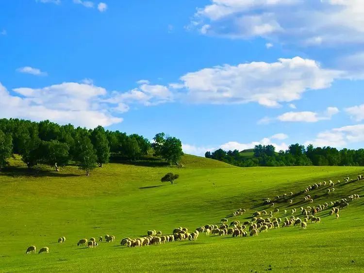 向北向北！|“美”在内蒙古
