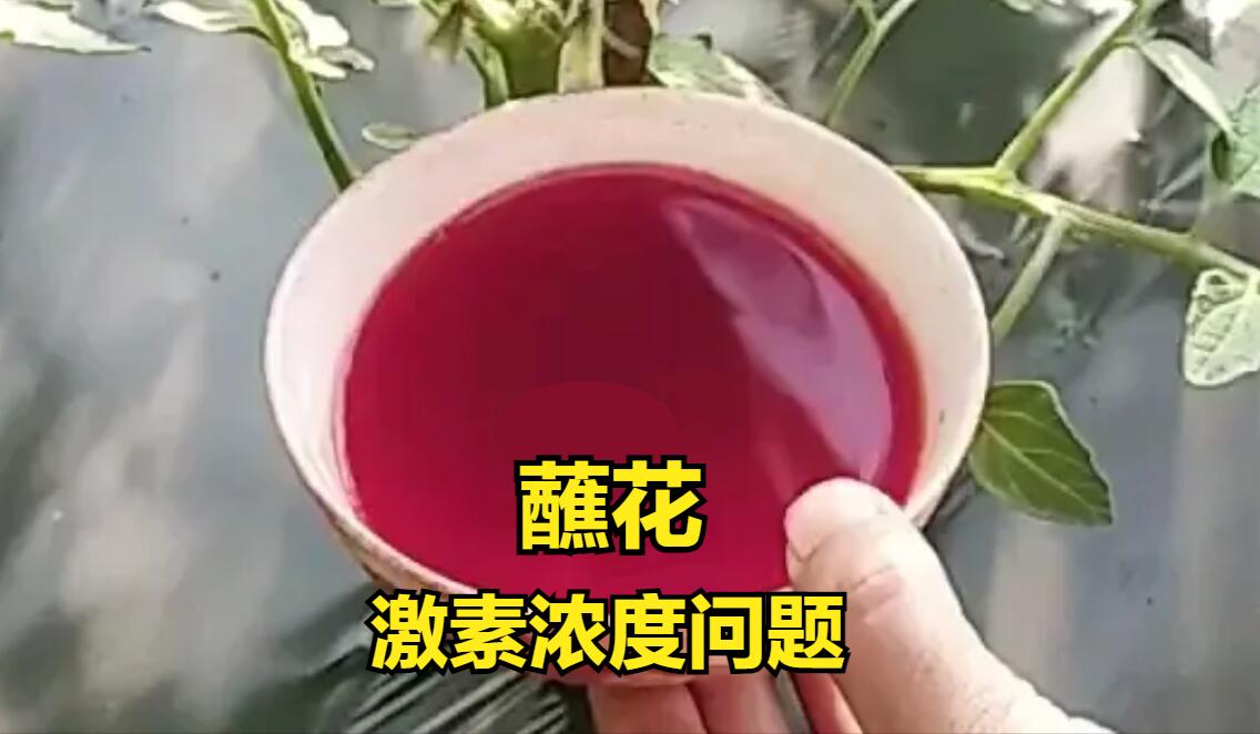 人工授粉坏处,人工授粉后的禁忌