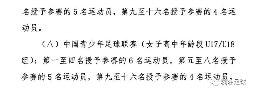 全国青少年足球联赛全国总决赛,中国青少年足球等级考试