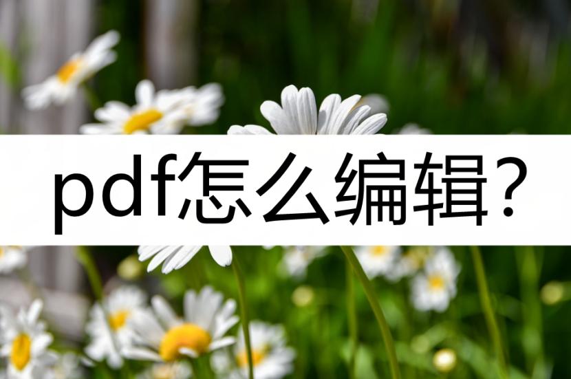 如何将pdf文件编辑为可编辑的文件,pdf怎么编辑简单操作