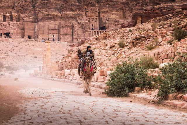 约旦枫树,约旦最新状况今天