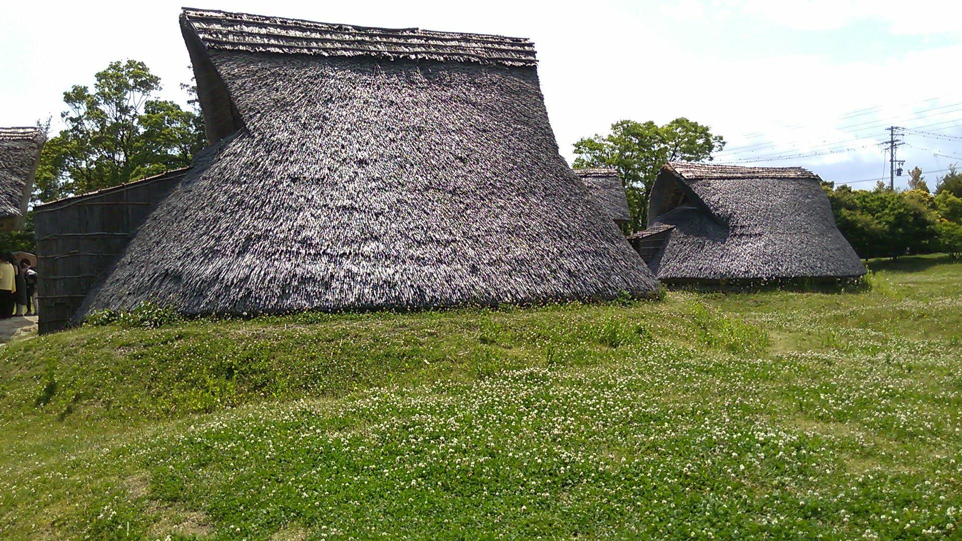日本上完厕所的纸能丢进马桶吗,日本厕纸应该冲走还是放纸篓