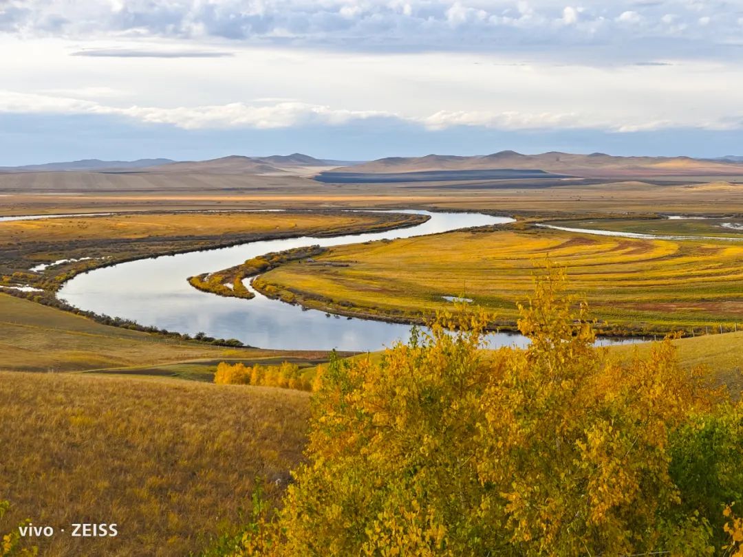 vivo何以成为手机影像卷王？3大赛道都要力争上游