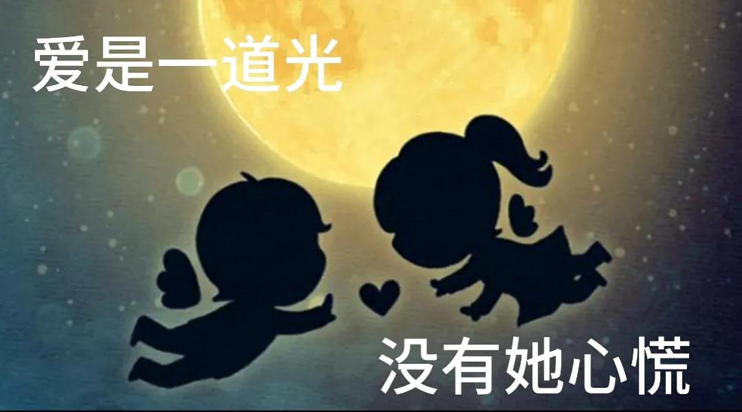 新手如何头条涨10000粉,头条新手第一天涨粉多少个正常