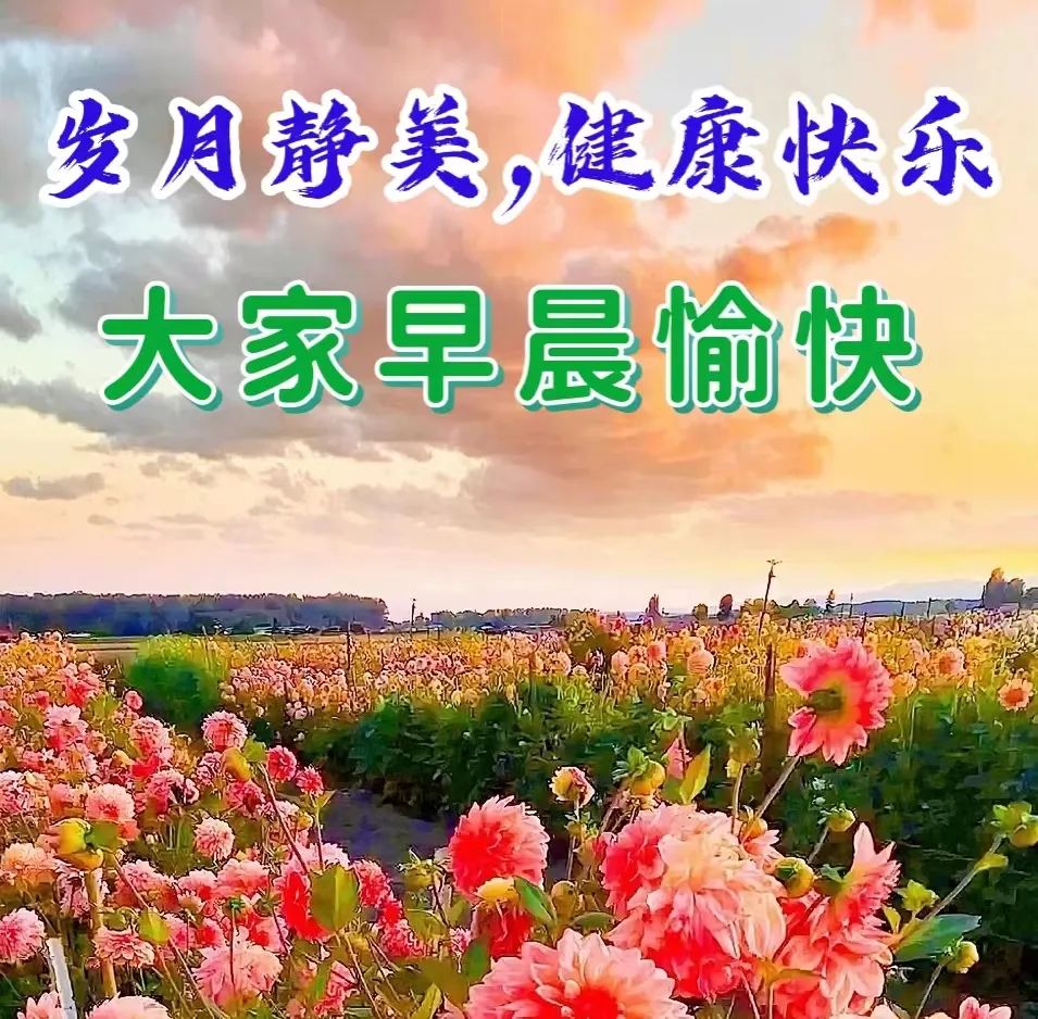 九月早上祝福,九月九早上好的祝福视频