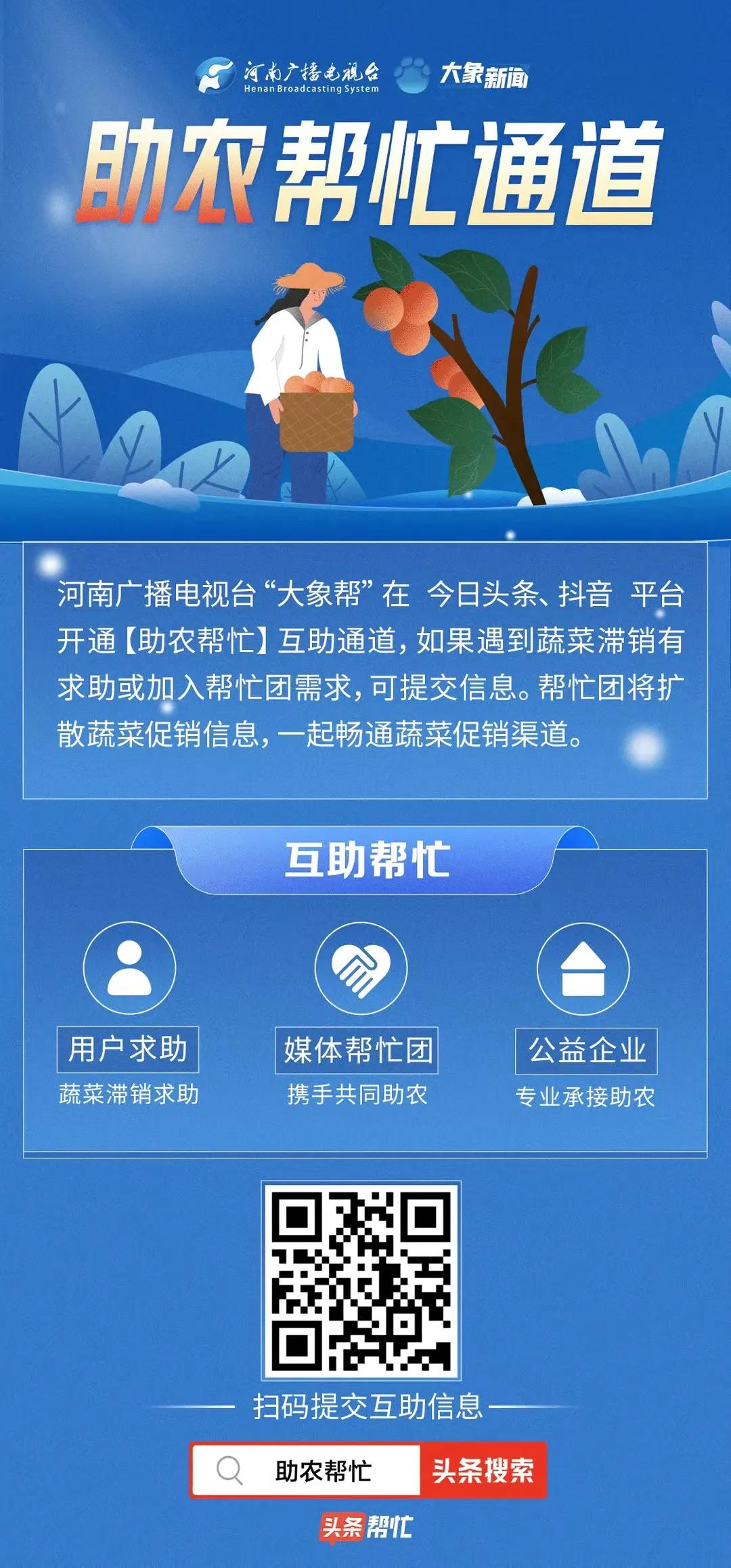 先来几千斤！大象新闻搭建助农通道，爱心人士奔向焦作武陟田间买葱