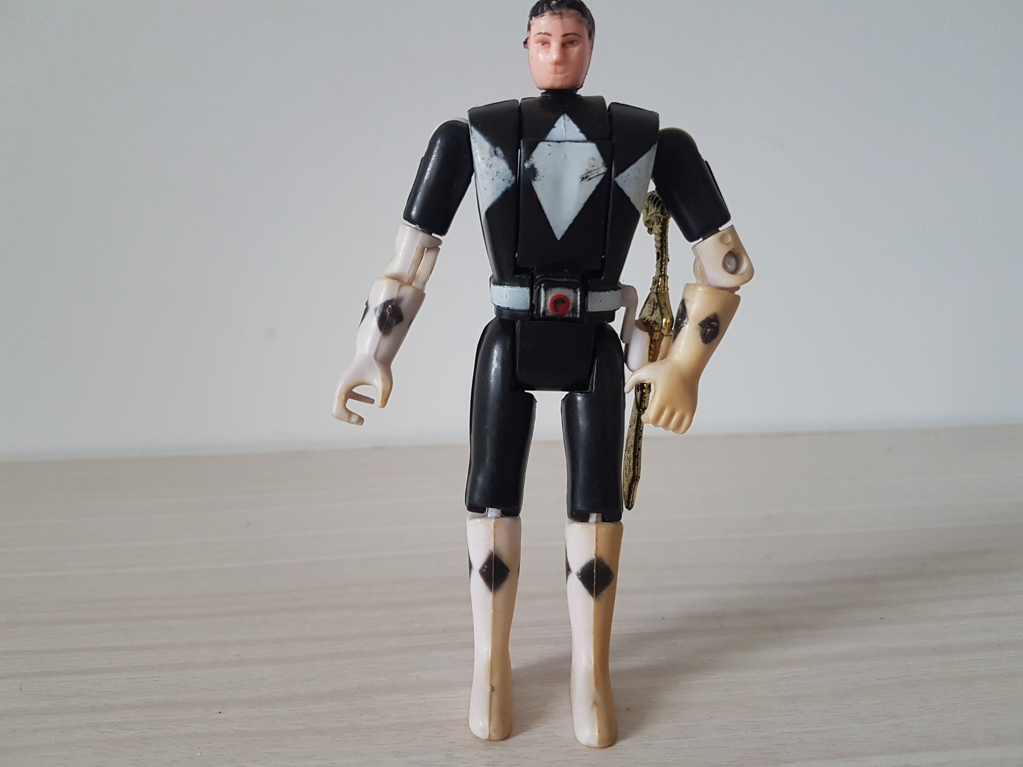 恐龙战队39,恐龙战队19