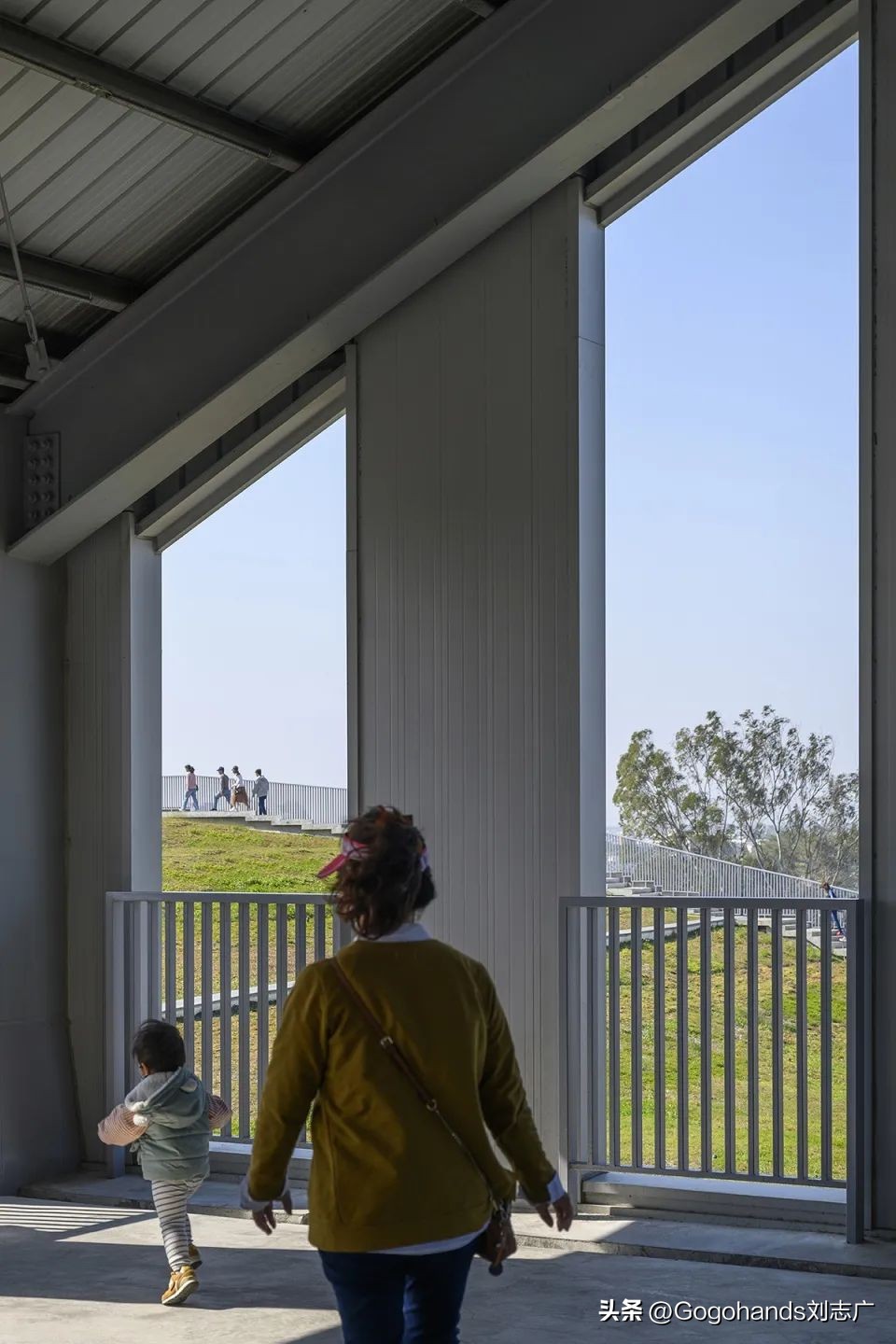 台湾新光华市场,水果市场台湾凤梨