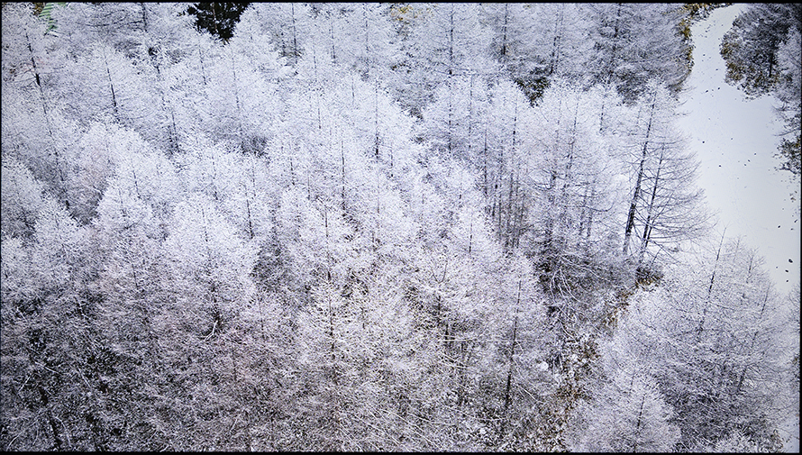 创维守护者65,创维守护者75寸