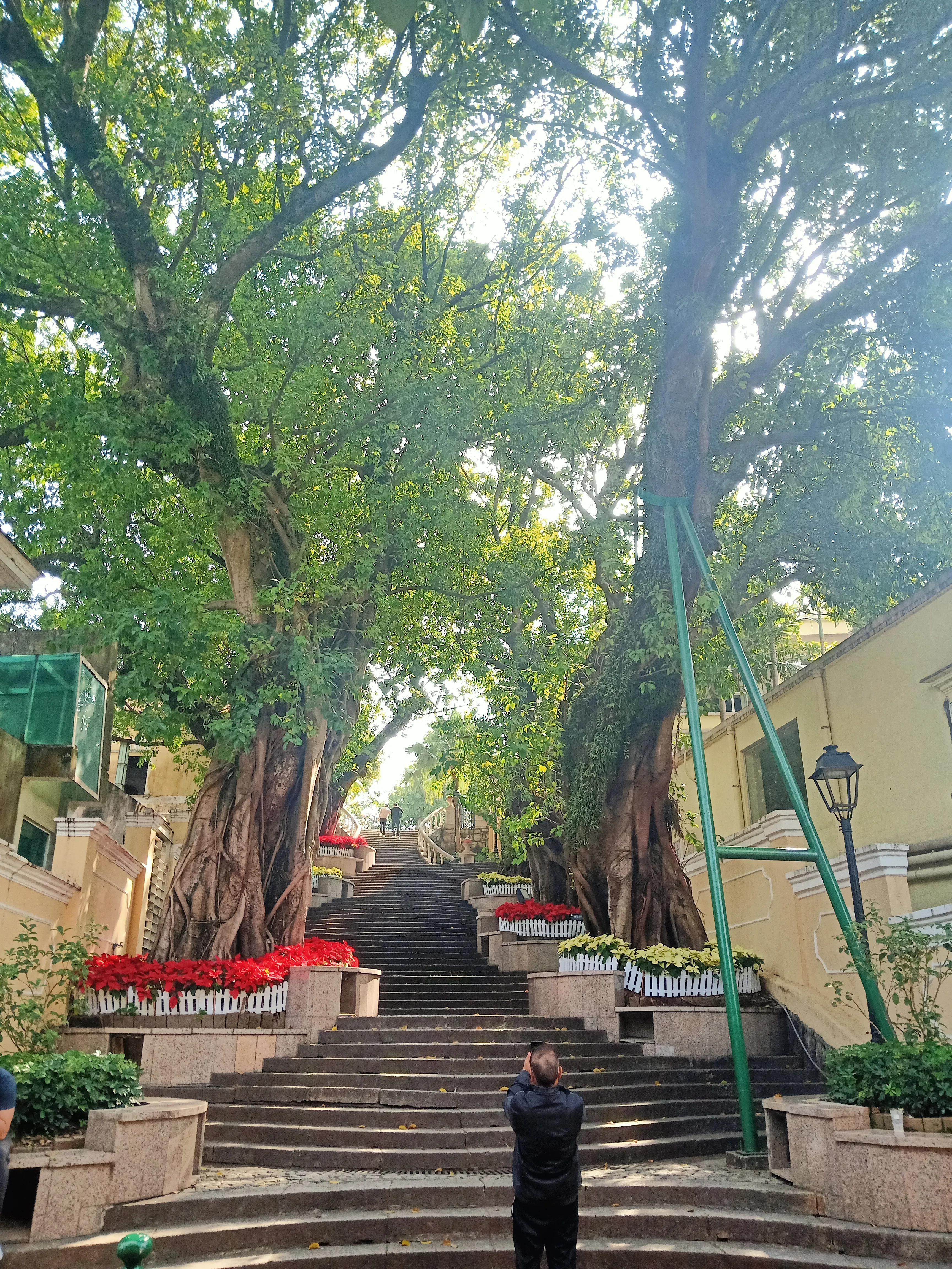 澳门旅游318,自驾澳门去哪里通关比较好