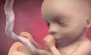 四维彩超宝宝不配合怎么办,四维彩超宝宝不配合该做什么动作