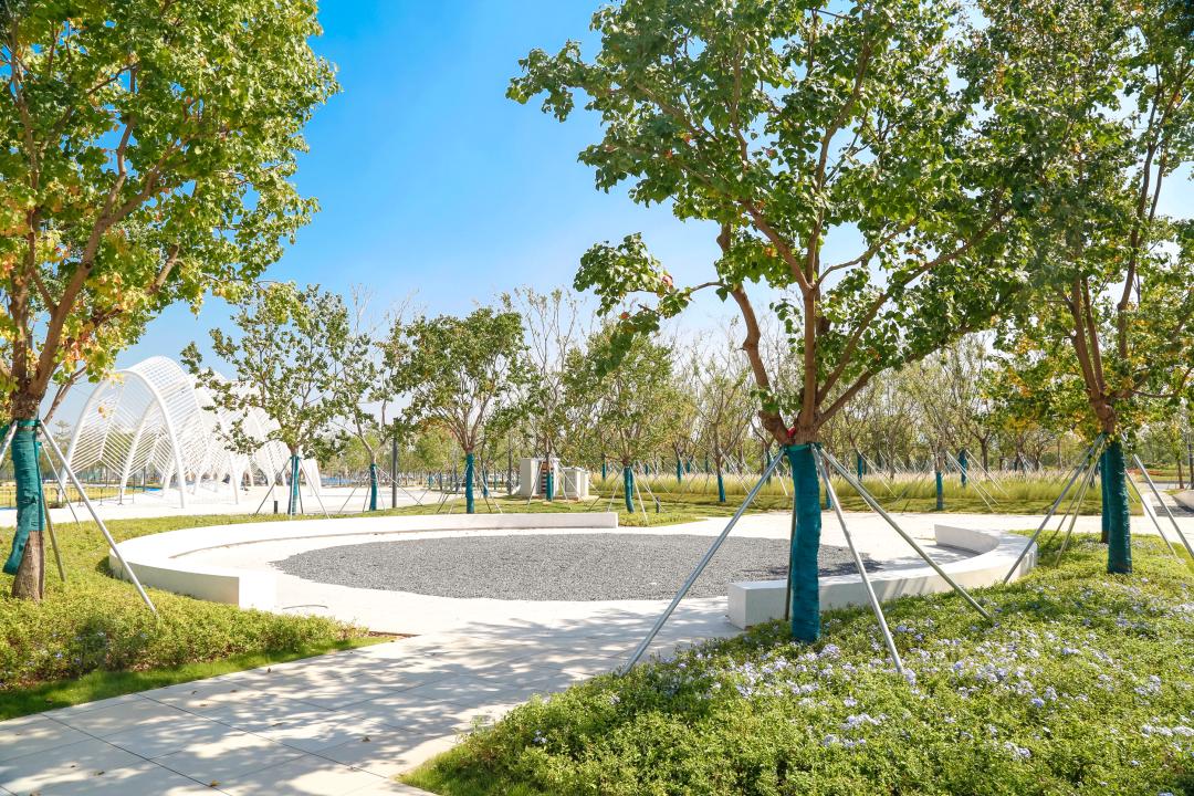 东莞滨海湾文体中心,东莞文体公园规划