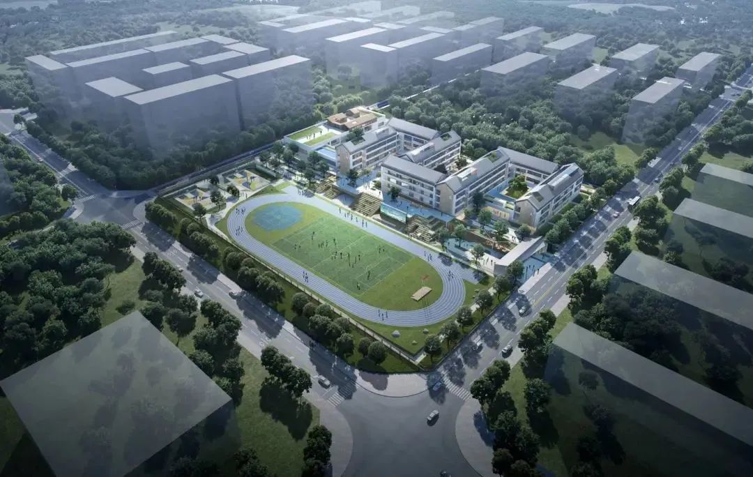 津彩新研学,津彩十年