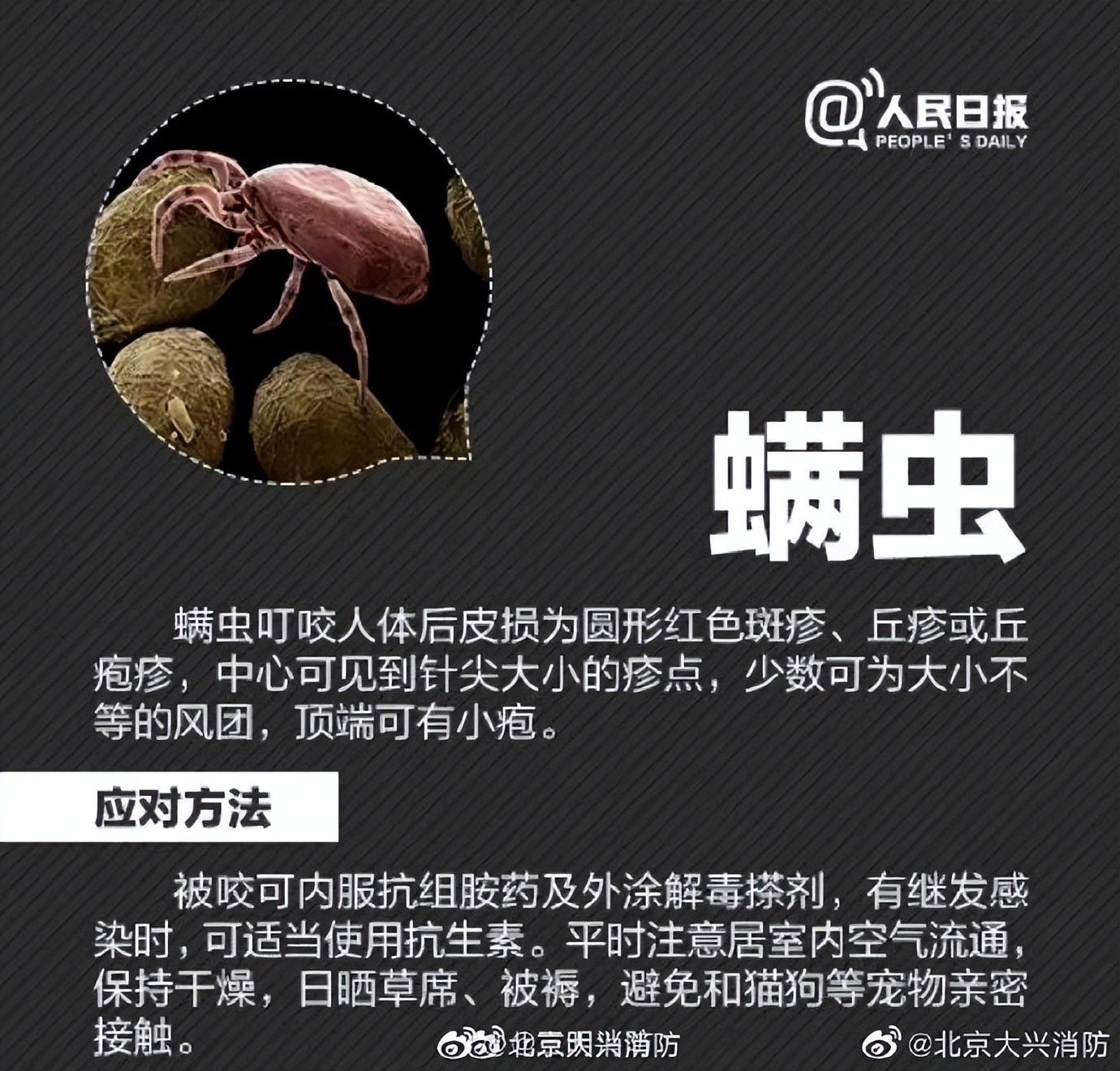 “我的脸被它毁容了…”毒液堪比硫酸！西安也有！