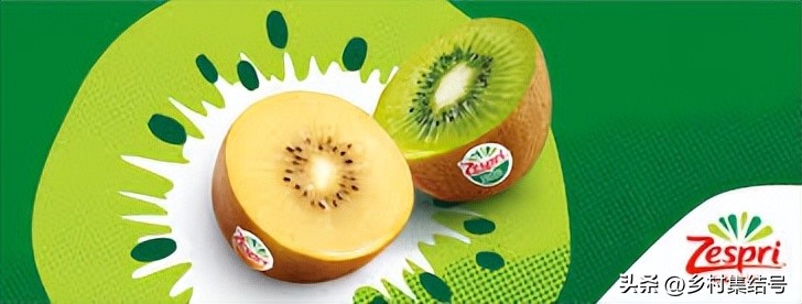 奇异果之都蒂普基地形图,新西兰奇异果小镇蒂普基