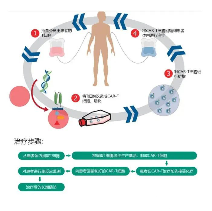 全案复盘国内顶尖生物科技企业上海张江生物策划与设计