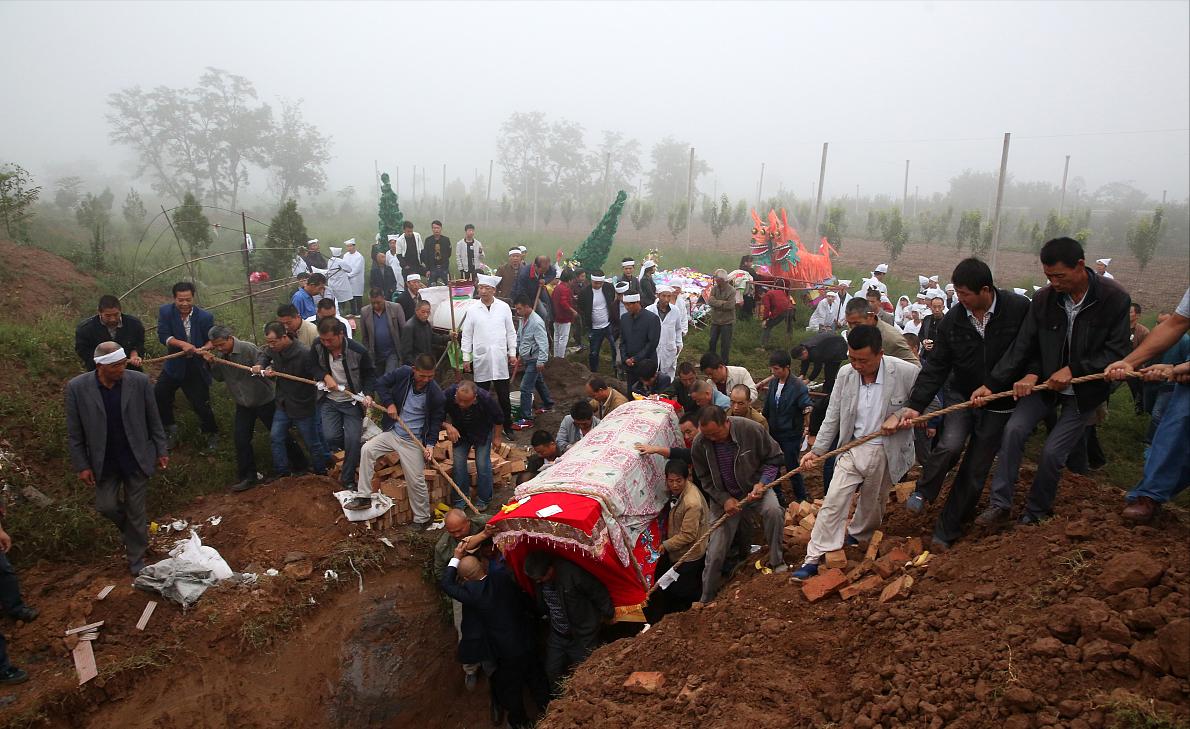 坟后有白虎什么预兆,坟后有洞穴预示什么