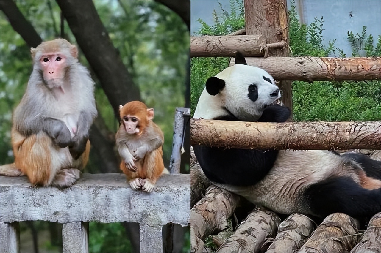 贵州10月旅游省钱攻略,贵州最全旅游攻略