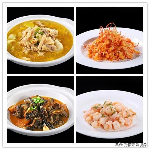 好山好水好“食”光《信阳十二“食”辰》开机！