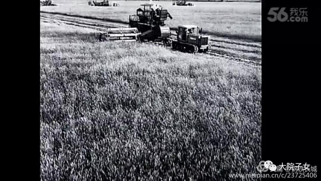 周铁城：父亲的兵团岁月（三）